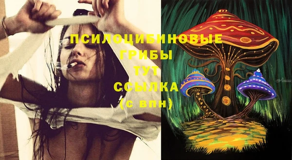 не бодяженный Аркадак