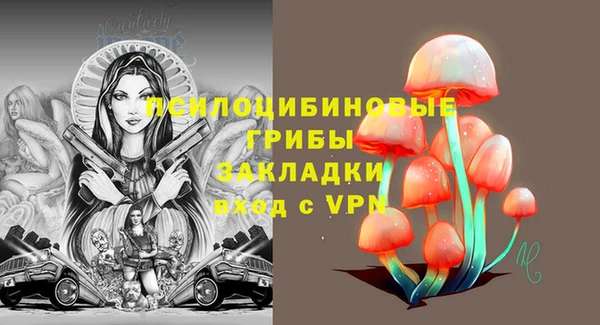 прущая мука Арсеньев