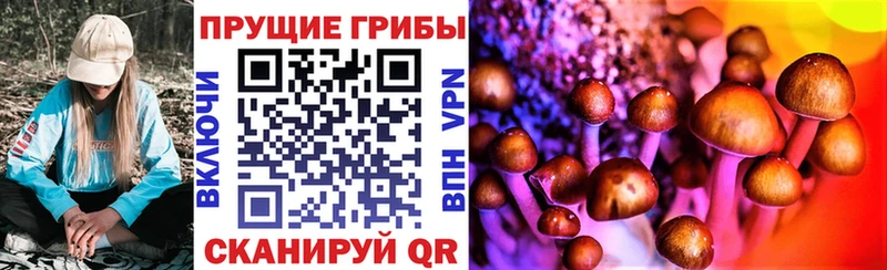 Галлюциногенные грибы Psilocybe  Сатка 